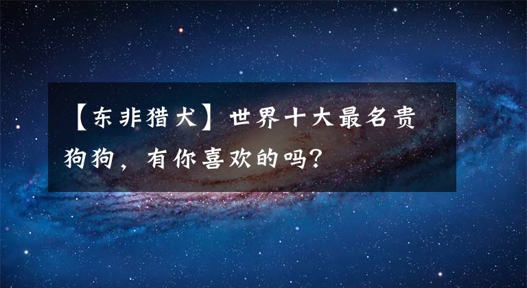 【東非獵犬】世界十大最名貴狗狗，有你喜歡的嗎？