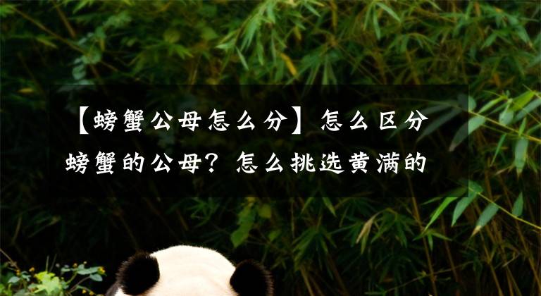 【螃蟹公母怎么分】怎么區(qū)分螃蟹的公母？怎么挑選黃滿的螃蟹？后附吃螃蟹的方法