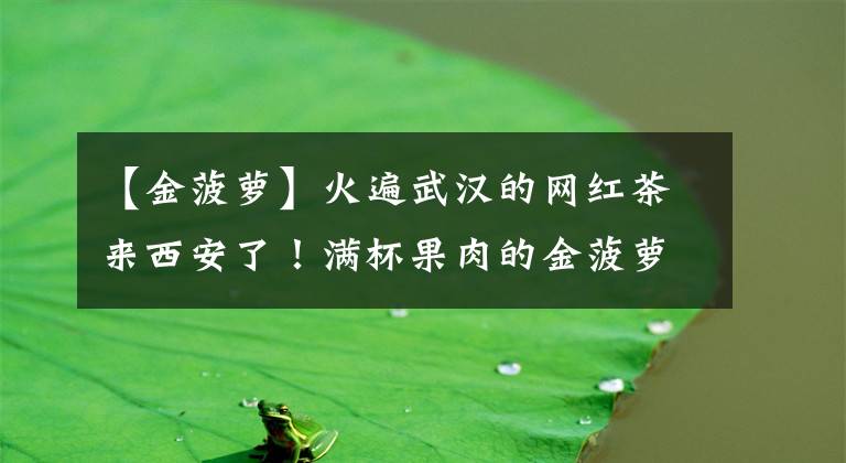 【金菠蘿】火遍武漢的網(wǎng)紅茶來西安了！滿杯果肉的金菠蘿只要1塊9！