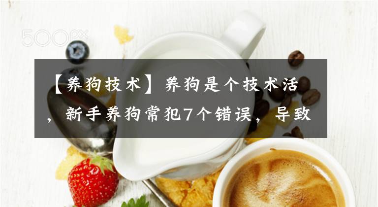 【養(yǎng)狗技術(shù)】養(yǎng)狗是個(gè)技術(shù)活，新手養(yǎng)狗常犯7個(gè)錯(cuò)誤，導(dǎo)致狗狗不聽話