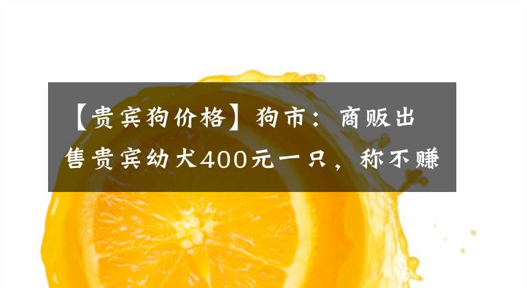 【貴賓狗價格】狗市：商販出售貴賓幼犬400元一只，稱不賺錢出售！