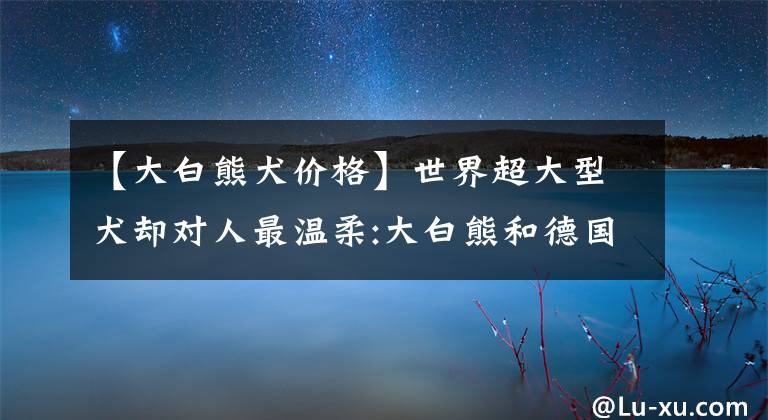 【大白熊犬價格】世界超大型犬卻對人最溫柔:大白熊和德國熊犬身價超貴