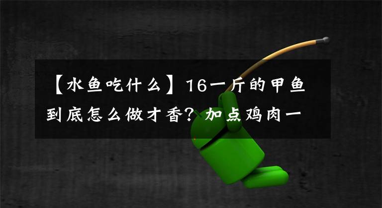 【水魚吃什么】16一斤的甲魚到底怎么做才香？加點雞肉一起燉，湯鮮肉嫩還大補