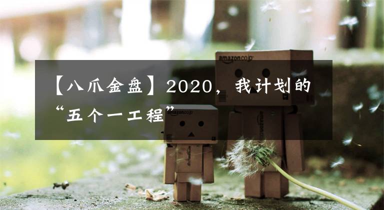 【八爪金盤】2020，我計(jì)劃的“五個(gè)一工程”