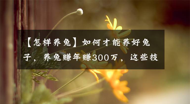 【怎樣養(yǎng)兔】如何才能養(yǎng)好兔子，養(yǎng)兔賺年賺300萬，這些技巧必須看