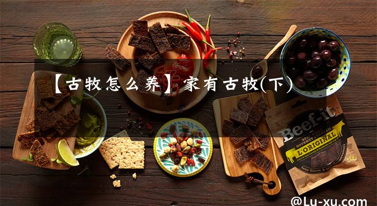 【古牧怎么養(yǎng)】家有古牧(下)