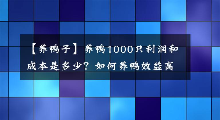 【養(yǎng)鴨子】養(yǎng)鴨1000只利潤和成本是多少？如何養(yǎng)鴨效益高？