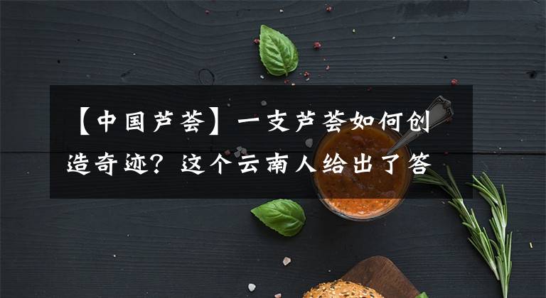 【中國(guó)蘆薈】一支蘆薈如何創(chuàng)造奇跡？這個(gè)云南人給出了答案