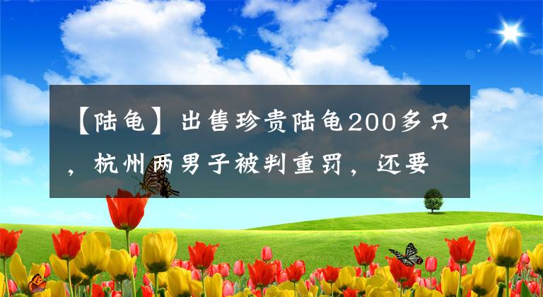 【陸龜】出售珍貴陸龜200多只，杭州兩男子被判重罰，還要在媒體上公開(kāi)賠禮道歉