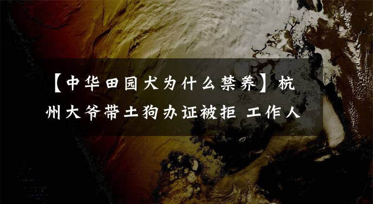 【中華田園犬為什么禁養(yǎng)】杭州大爺帶土狗辦證被拒 工作人員稱中華田園犬是城市禁養(yǎng)品種