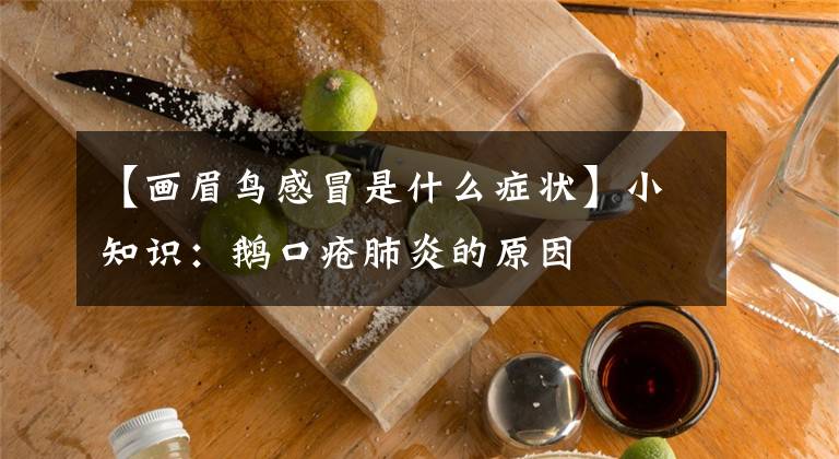 【畫眉鳥感冒是什么癥狀】小知識：鵝口瘡肺炎的原因