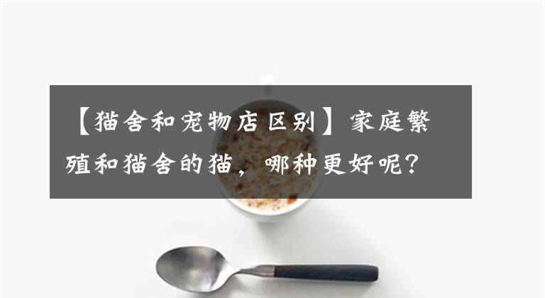 【貓舍和寵物店區(qū)別】家庭繁殖和貓舍的貓，哪種更好呢？渠道不是重點(diǎn)，需擦亮眼睛