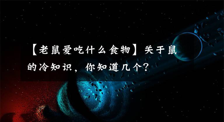 【老鼠愛吃什么食物】關(guān)于鼠的冷知識(shí)，你知道幾個(gè)？