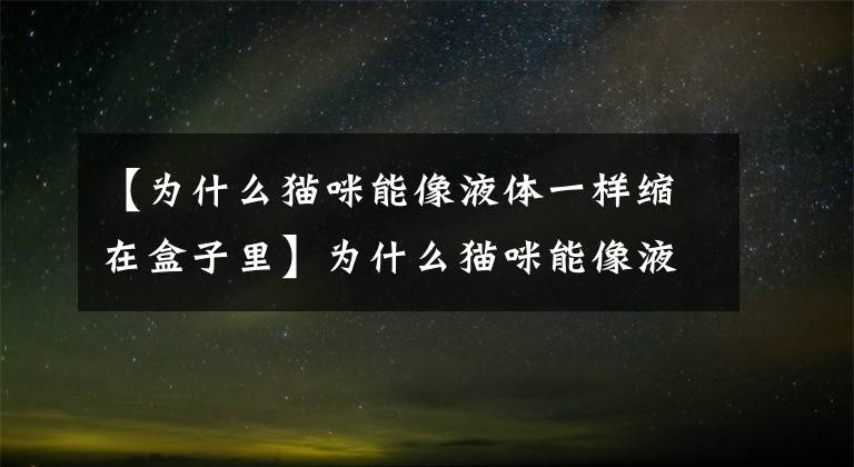 【為什么貓咪能像液體一樣縮在盒子里】為什么貓咪能像液體一樣縮在小盒子里？是因為骨頭又多又小嗎？