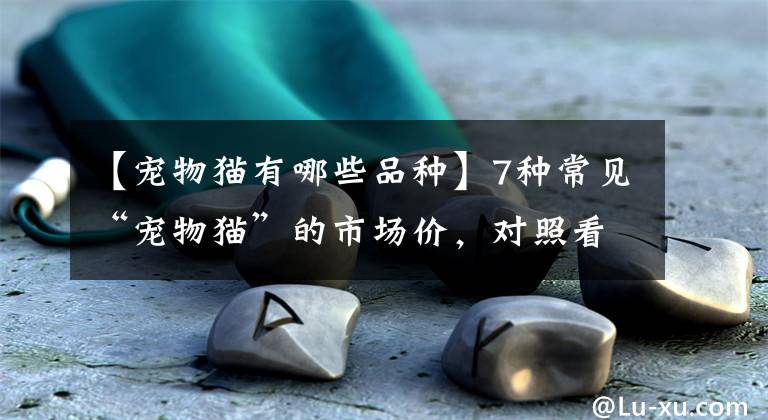 【寵物貓有哪些品種】7種常見“寵物貓”的市場(chǎng)價(jià)，對(duì)照看看，你買貴了嗎？