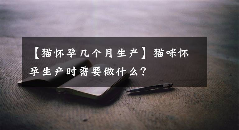 【貓懷孕幾個月生產(chǎn)】貓咪懷孕生產(chǎn)時需要做什么？