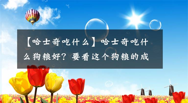 【哈士奇吃什么】哈士奇吃什么狗糧好？要看這個狗糧的成分，還要看狗狗的體質(zhì)