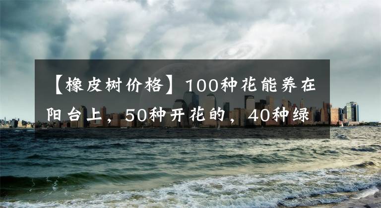 【橡皮樹價格】100種花能養(yǎng)在陽臺上，50種開花的，40種綠植，10種蔬果