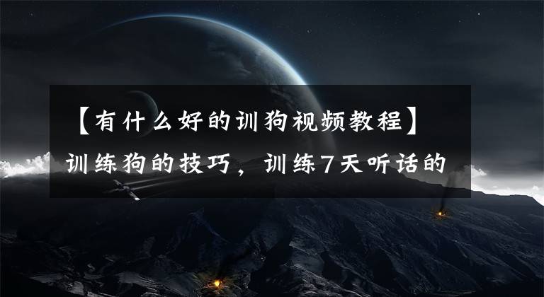 【有什么好的訓狗視頻教程】訓練狗的技巧，訓練7天聽話的狗