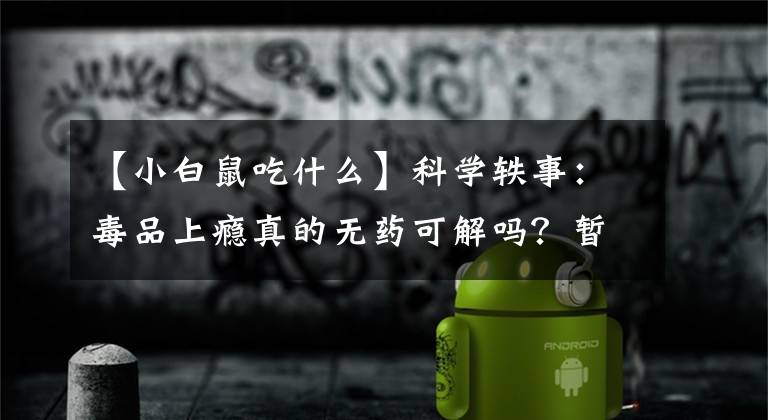 【小白鼠吃什么】科學軼事：毒品上癮真的無藥可解嗎？暫時是的