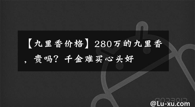 【九里香價格】280萬的九里香，貴嗎？千金難買心頭好