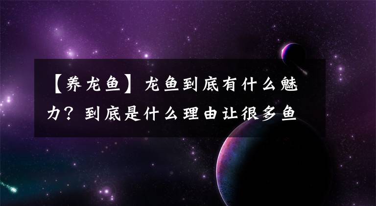 【養(yǎng)龍魚】龍魚到底有什么魅力？到底是什么理由讓很多魚友都想養(yǎng)？