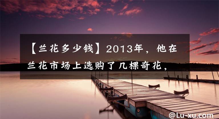 【蘭花多少錢】2013年，他在蘭花市場上選購了幾棵奇花，回家檢查發(fā)現(xiàn)是膠水粘花