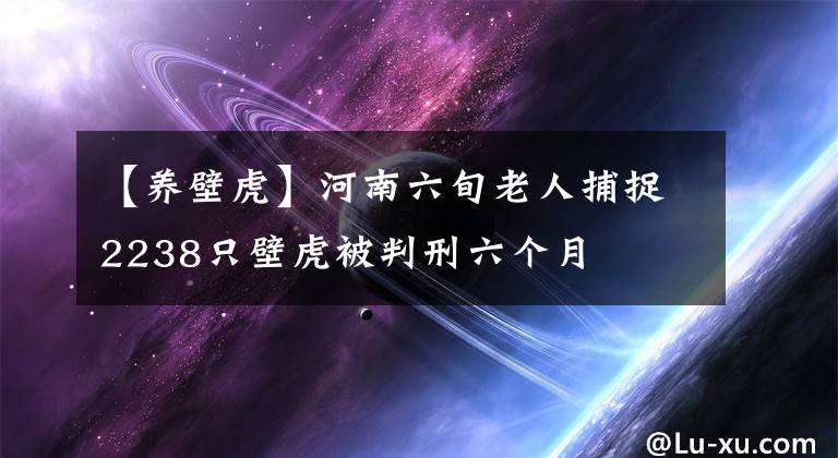 【養(yǎng)壁虎】河南六旬老人捕捉2238只壁虎被判刑六個(gè)月