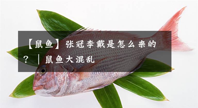 【鼠魚】張冠李戴是怎么來的？｜鼠魚大混亂