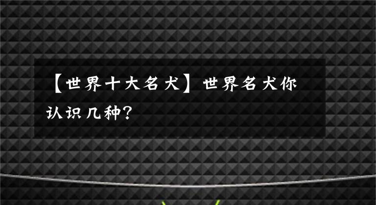 【世界十大名犬】世界名犬你認識幾種？