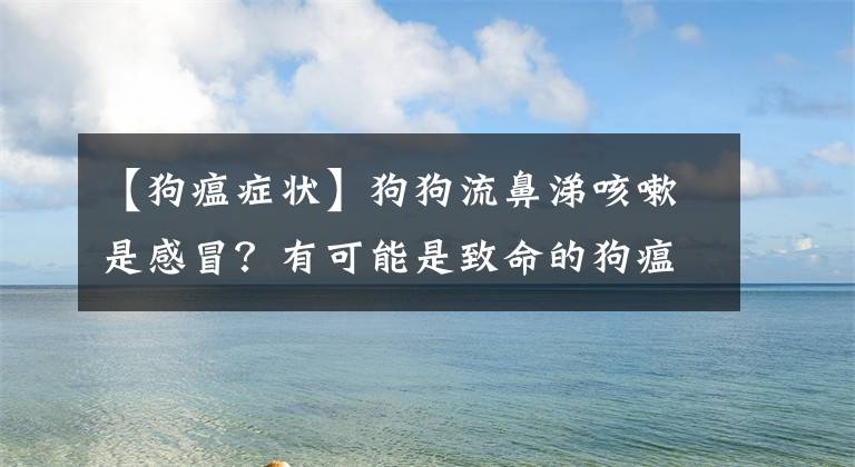 【狗瘟癥狀】狗狗流鼻涕咳嗽是感冒？有可能是致命的狗瘟！如何區(qū)分感冒與狗瘟