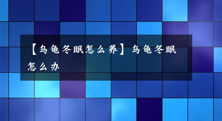 【烏龜冬眠怎么養(yǎng)】烏龜冬眠怎么辦