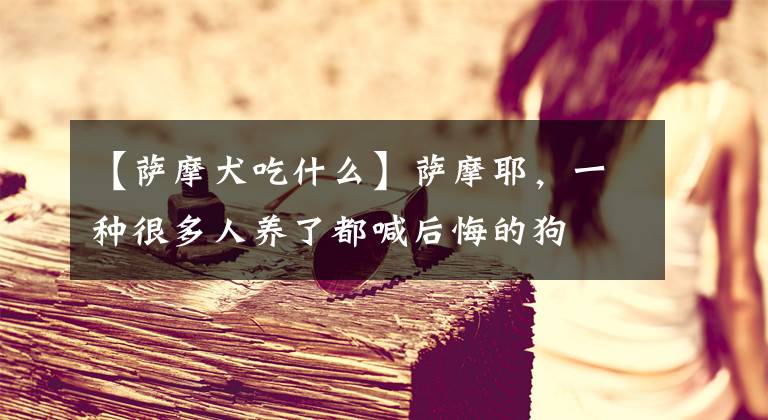 【薩摩犬吃什么】薩摩耶，一種很多人養(yǎng)了都喊后悔的狗