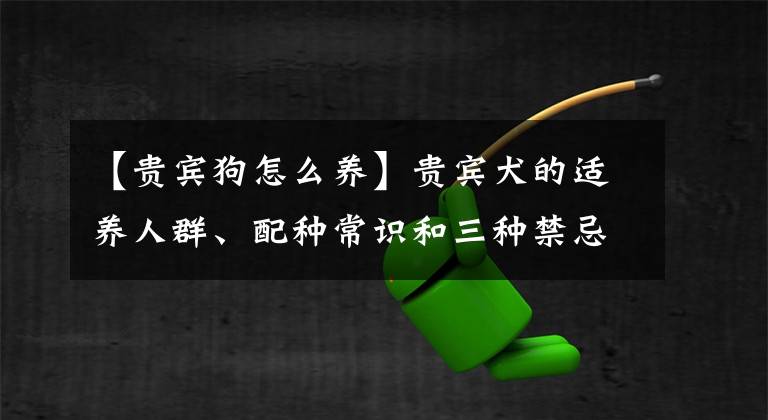 【貴賓狗怎么養(yǎng)】貴賓犬的適養(yǎng)人群、配種常識(shí)和三種禁忌！