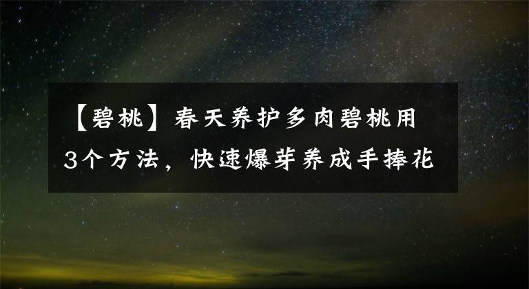 【碧桃】春天養(yǎng)護(hù)多肉碧桃用3個方法，快速爆芽養(yǎng)成手捧花