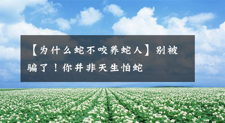 【為什么蛇不咬養(yǎng)蛇人】別被騙了！你并非天生怕蛇