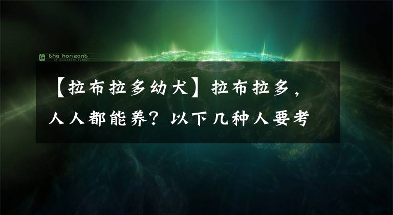 【拉布拉多幼犬】拉布拉多，人人都能養(yǎng)？以下幾種人要考慮清楚