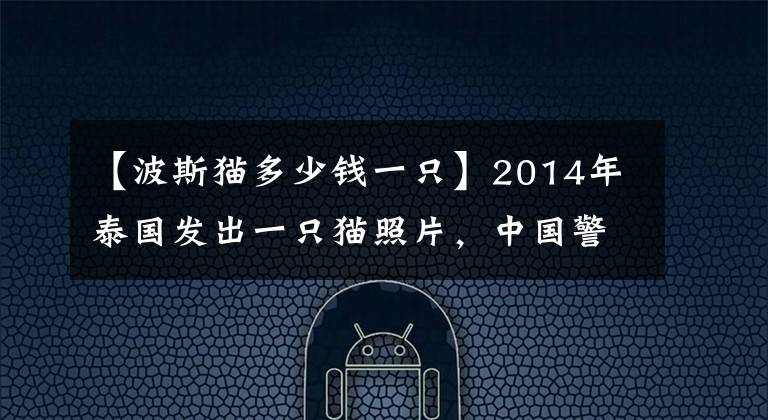 【波斯貓多少錢一只】2014年泰國發(fā)出一只貓照片，中國警方順藤摸瓜，從境外抓獲嫌疑人