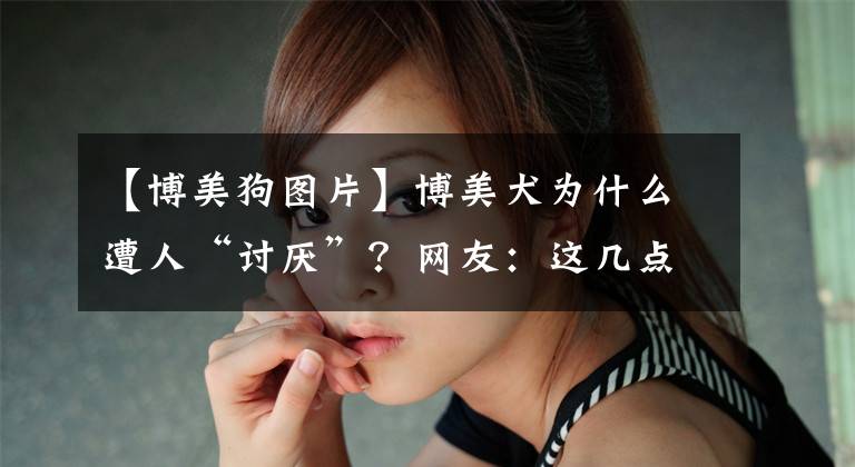 【博美狗圖片】博美犬為什么遭人“討厭”？網(wǎng)友：這幾點(diǎn)接受不了