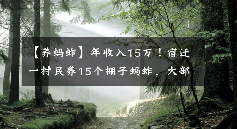 【養(yǎng)螞蚱】年收入15萬！宿遷一村民養(yǎng)15個棚子螞蚱，大部分出口韓國