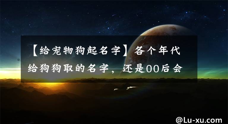 【給寵物狗起名字】各個年代給狗狗取的名字，還是00后會玩