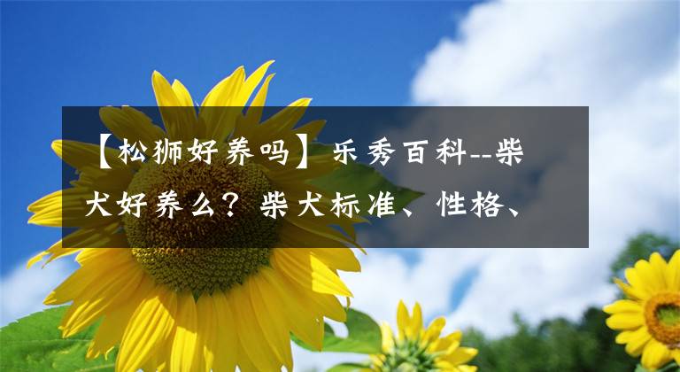 【松獅好養(yǎng)嗎】樂秀百科--柴犬好養(yǎng)么？柴犬標(biāo)準(zhǔn)、性格、壽命、如何挑選柴犬