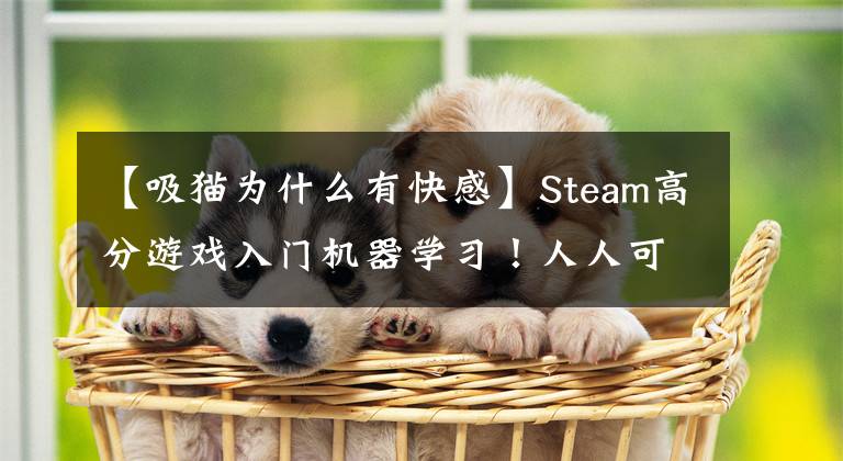 【吸貓為什么有快感】Steam高分游戲入門(mén)機(jī)器學(xué)習(xí)！人人可玩，又能擼貓，還有漢化版