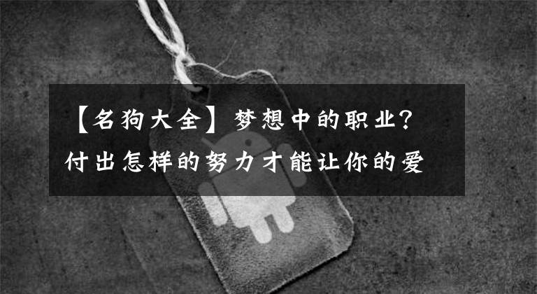 【名狗大全】夢想中的職業(yè)？付出怎樣的努力才能讓你的愛犬成為明星？