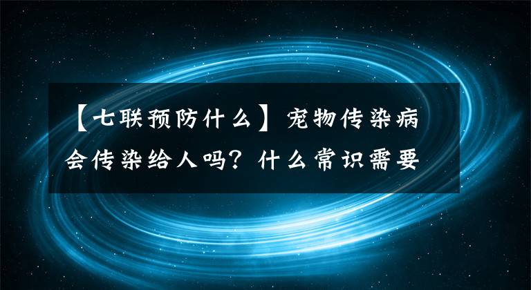 【七聯(lián)預(yù)防什么】寵物傳染病會傳染給人嗎？什么常識需要注意！