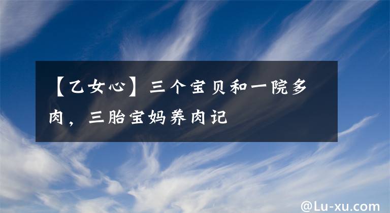 【乙女心】三個寶貝和一院多肉，三胎寶媽養(yǎng)肉記