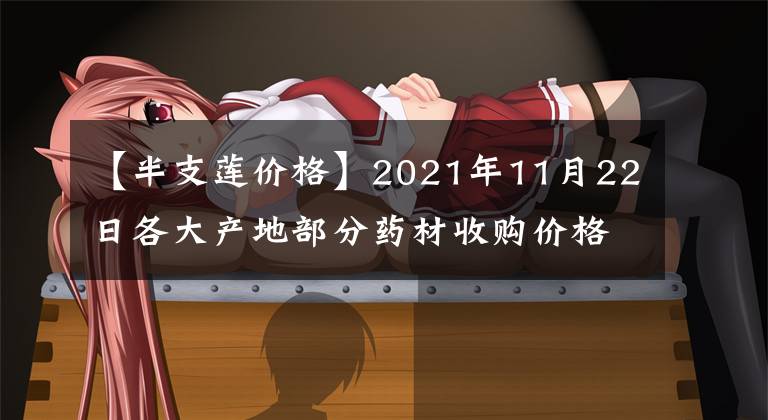 【半支蓮價(jià)格】2021年11月22日各大產(chǎn)地部分藥材收購價(jià)格行情