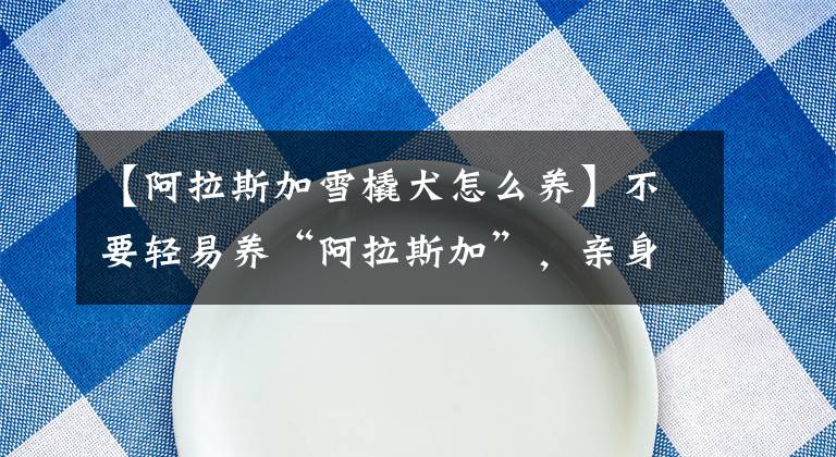 【阿拉斯加雪橇犬怎么養(yǎng)】不要輕易養(yǎng)“阿拉斯加”，親身經(jīng)歷告訴你，別后悔