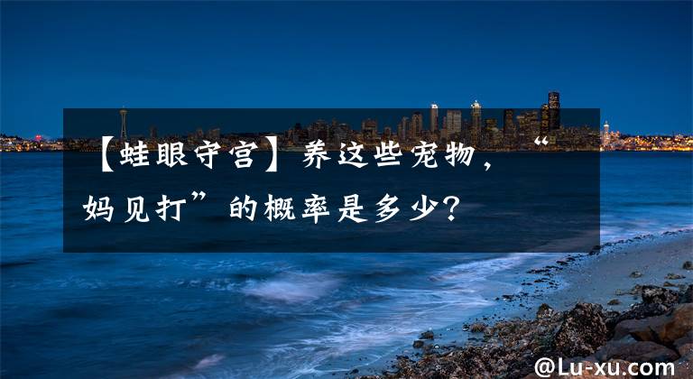 【蛙眼守宮】養(yǎng)這些寵物，“媽見(jiàn)打”的概率是多少？