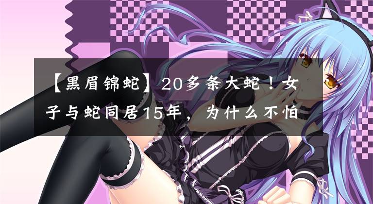 【黑眉錦蛇】20多條大蛇！女子與蛇同居15年，為什么不怕咬，蛇真能與人共處？